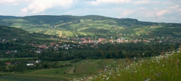 Zobacz: Czerniec