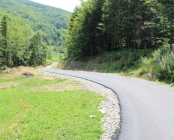Zdjęcie 13