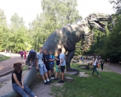 Zdjęcie 4
