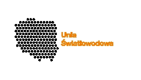 Budowa sieci...