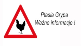 Informacja o wystąpieniu...
