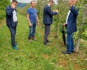 Zdjęcie 3