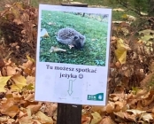 Zdjęcie 3