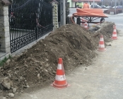 Zdjęcie 1
