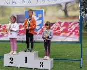 Zdjęcie 14