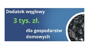 Dodatek węglowy -...
