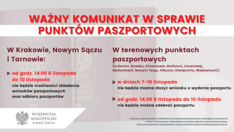 Grafika informacyjna PASZPORTY2