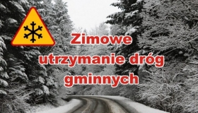 Zimowe utrzymanie dróg w...