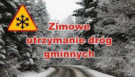  Zimowe utrzymanie dróg w...