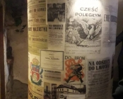 Zdjęcie 12