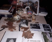 Zdjęcie 13