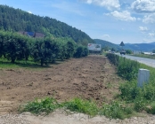 Zdjęcie 2