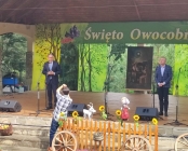 Zdjęcie 23