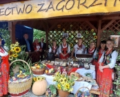 Zdjęcie 12