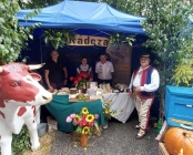 Zdjęcie 14