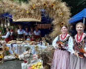 Zdjęcie 15