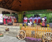 Zdjęcie 31