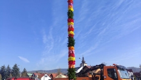  Łącko ozdobiły palmy...