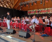 Zdjęcie 14