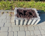 Zdjęcie 3