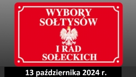 Wybory Sołtysów i Rad...