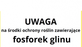 13.12.2024 r. - Fosforek...
