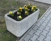 Zdjęcie 1