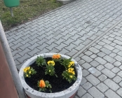 Zdjęcie 2