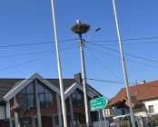 Zdjęcie 4