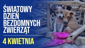 04.04.2025 r. - Światowy...