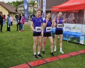 Zdjęcie 10