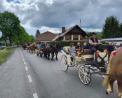 Zdjęcie 70