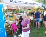 Zdjęcie 7