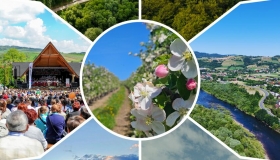  Zagłosuj na Gminę...