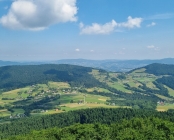 Zdjęcie 1