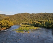 Zdjęcie 16