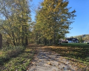 Zdjęcie 19
