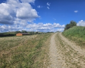 Zdjęcie 1