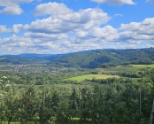 Zdjęcie 3