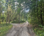 Zdjęcie 12