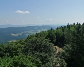 Zdjęcie 13