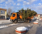 Zdjęcie 2