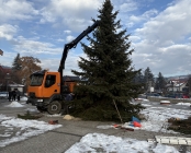 Zdjęcie 6
