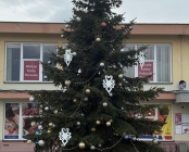 Zdjęcie 8