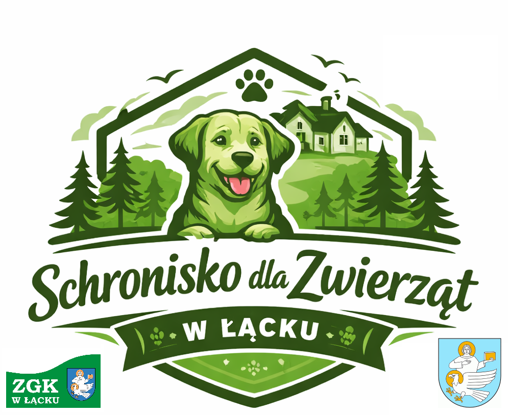 014b5684-a2fd-45c8-85f9-d027fc844b0f