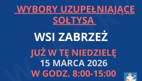 Wybory uzupełniające...