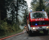 Zdjęcie 10