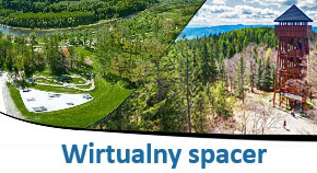 Wirtualny spacer